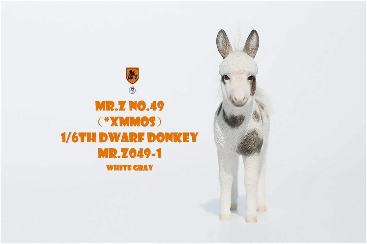 Mr.Z 1/6 Dwarf Donkey Statue Realistic Educational Equidae Animal Model Resin Toys Collector Home Decoration Birthday Gift for Adult (Mr.Z049-1)