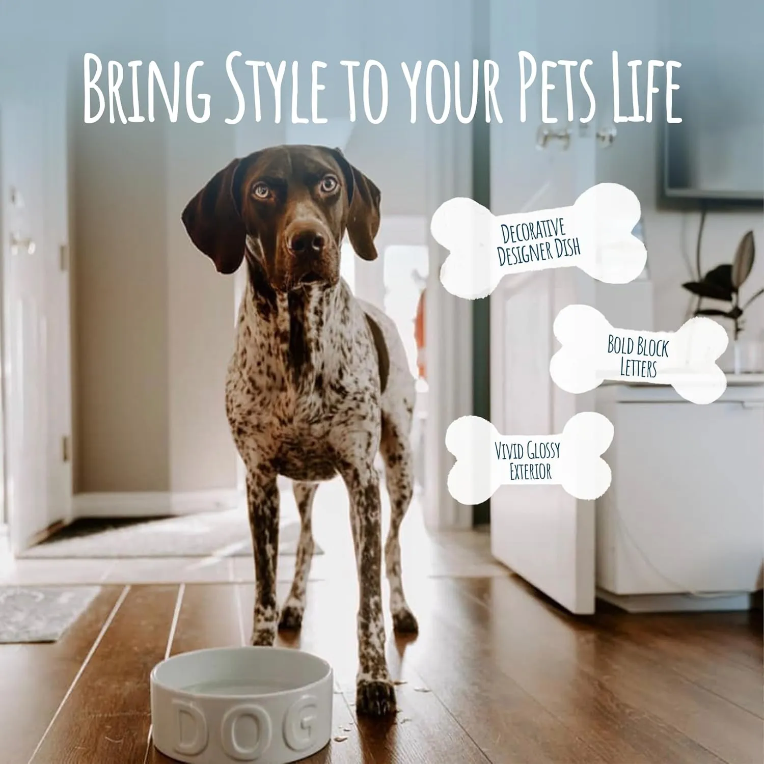Park Life Designs Pet Bowl | Classic Water (Large, White) Improved Packaging That Will not Cause The Damage
