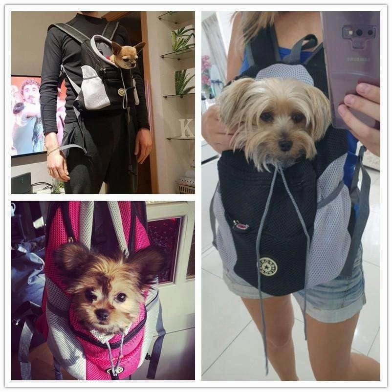 Pawki™ Dog Carrier