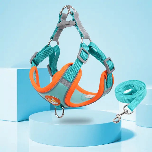 Pet Adjustable Harness with Leash Set