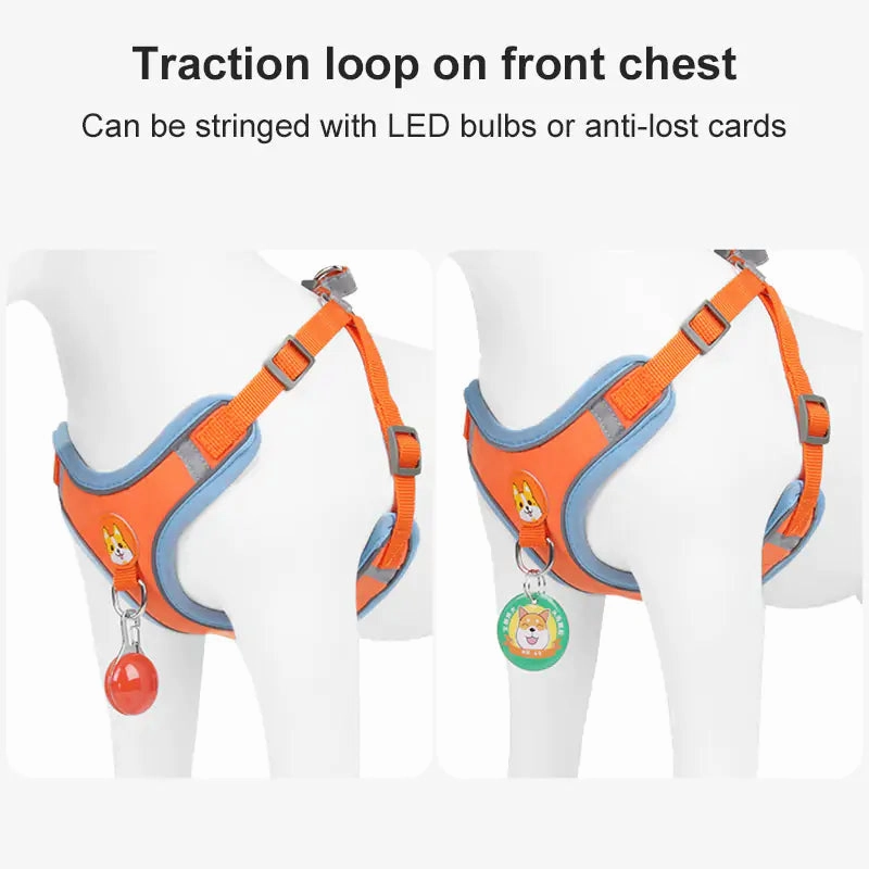 Pet Adjustable Harness with Leash Set
