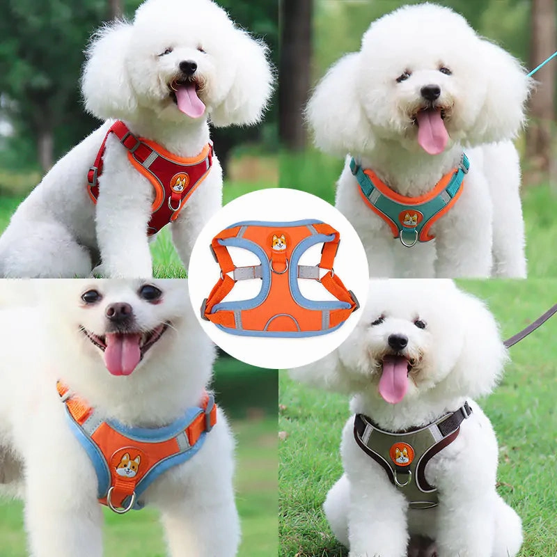Pet Adjustable Harness with Leash Set