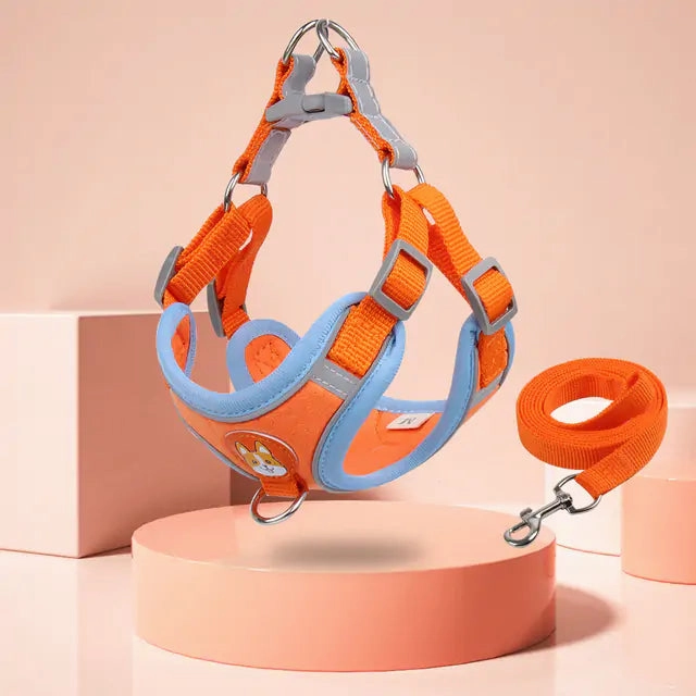 Pet Adjustable Harness with Leash Set