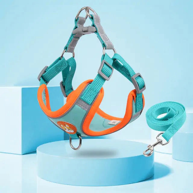 Pet Adjustable Harness with Leash Set