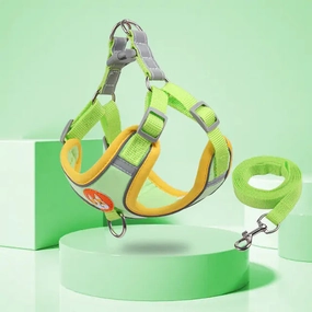 Pet Adjustable Harness with Leash Set
