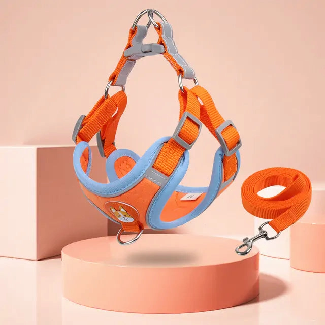 Pet Adjustable Harness with Leash Set