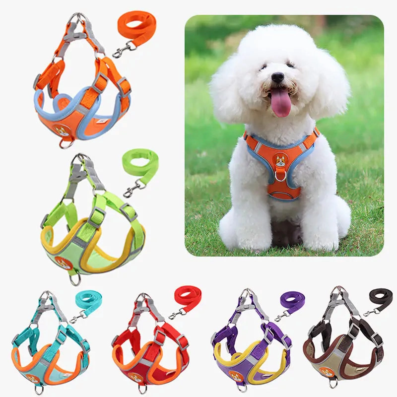 Pet Adjustable Harness with Leash Set
