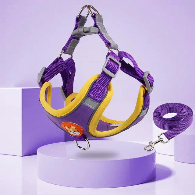 Pet Adjustable Harness with Leash Set