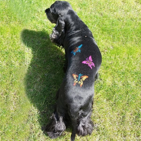 Pet Hair Chalk - Yellow (TC08)