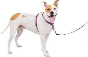 PetSafe 3in1 Dog Harness No Pull Solution For Dogs Plum Medium