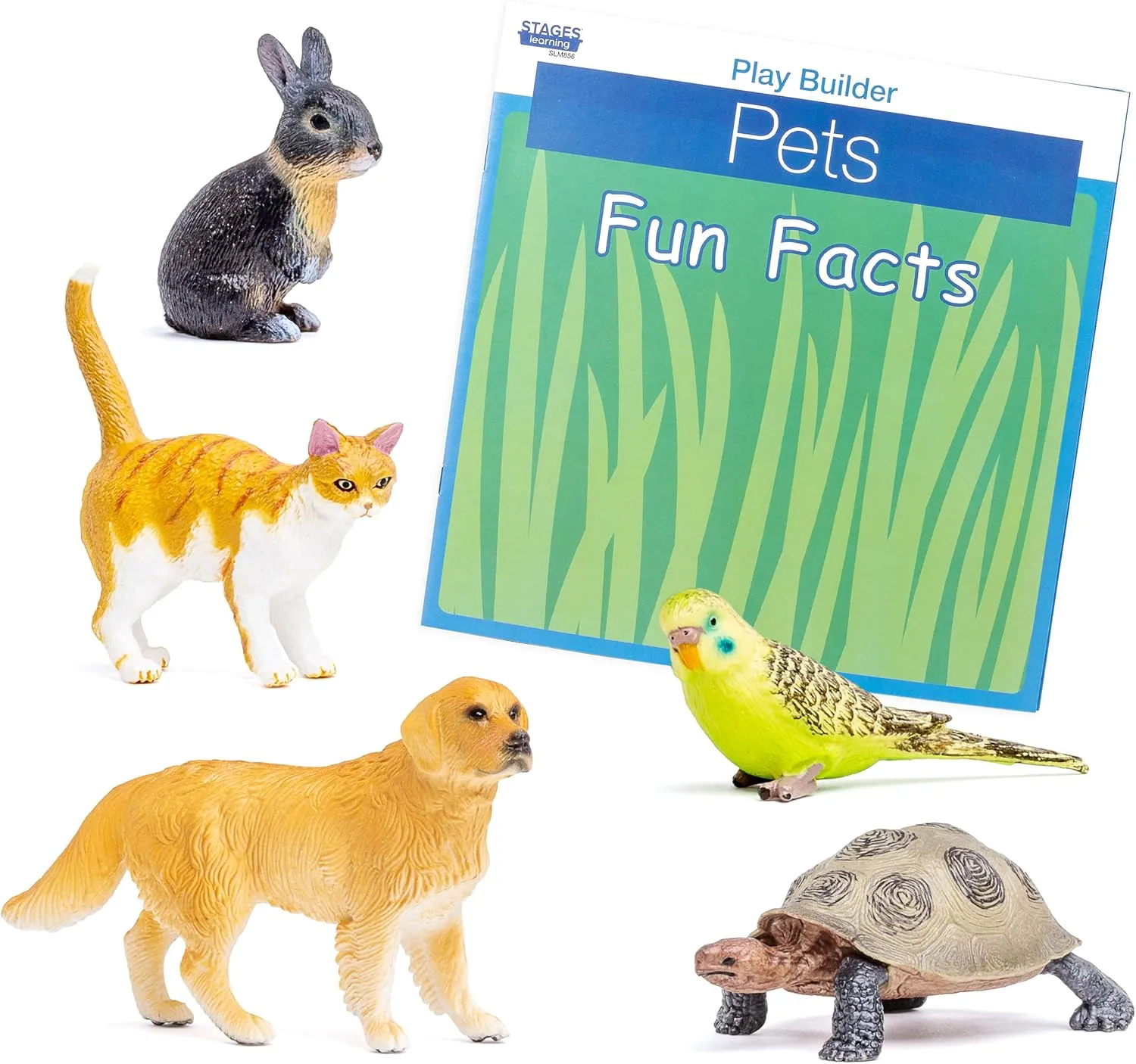Play Builder: Pets Plastic Animal Figures/Pet Animal Figurines Toys and Fun Facts Book from The Makers of Language Builder, Multi