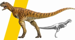 PNSO Carnotaurus Domingo Figure Realistic Ceratosauria Abelisauridae Dinosaur PVC Collector Toys Animal Art Model Decoration Gift for Adult