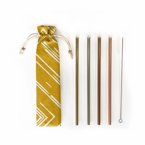 Reusable Straw - 6 pc Set