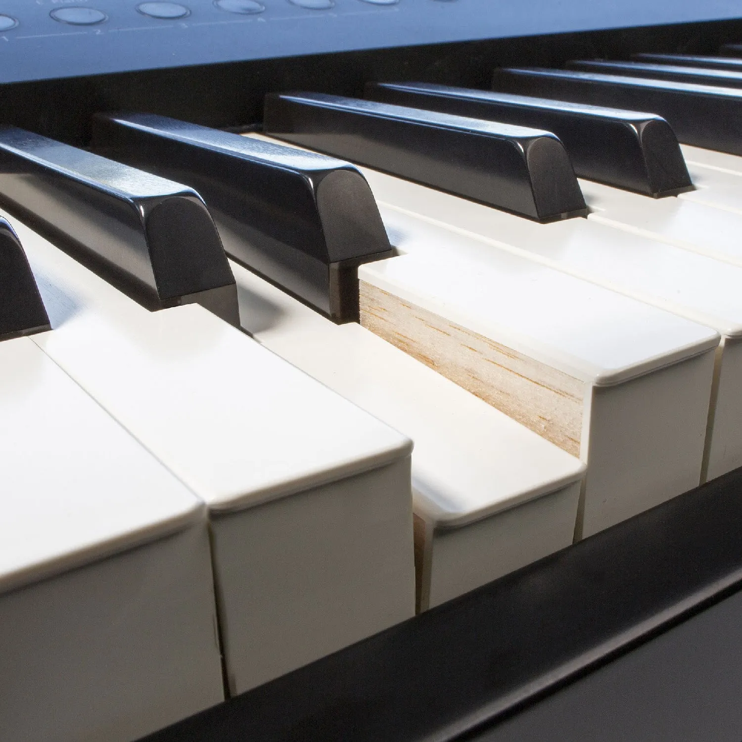 Roland FP-90X portable digital piano