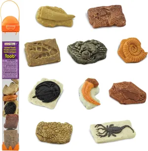 Safari Ltd. Ancient Fossils TOOB - Figurines: Dino Footprint, Giant Crab, Ammonite, Raptor Claw, T-Rex Tooth, Frog Skeleton, Sea Scorpion & More - Educational Toys for Boys, Girls & Kids Ages 3 