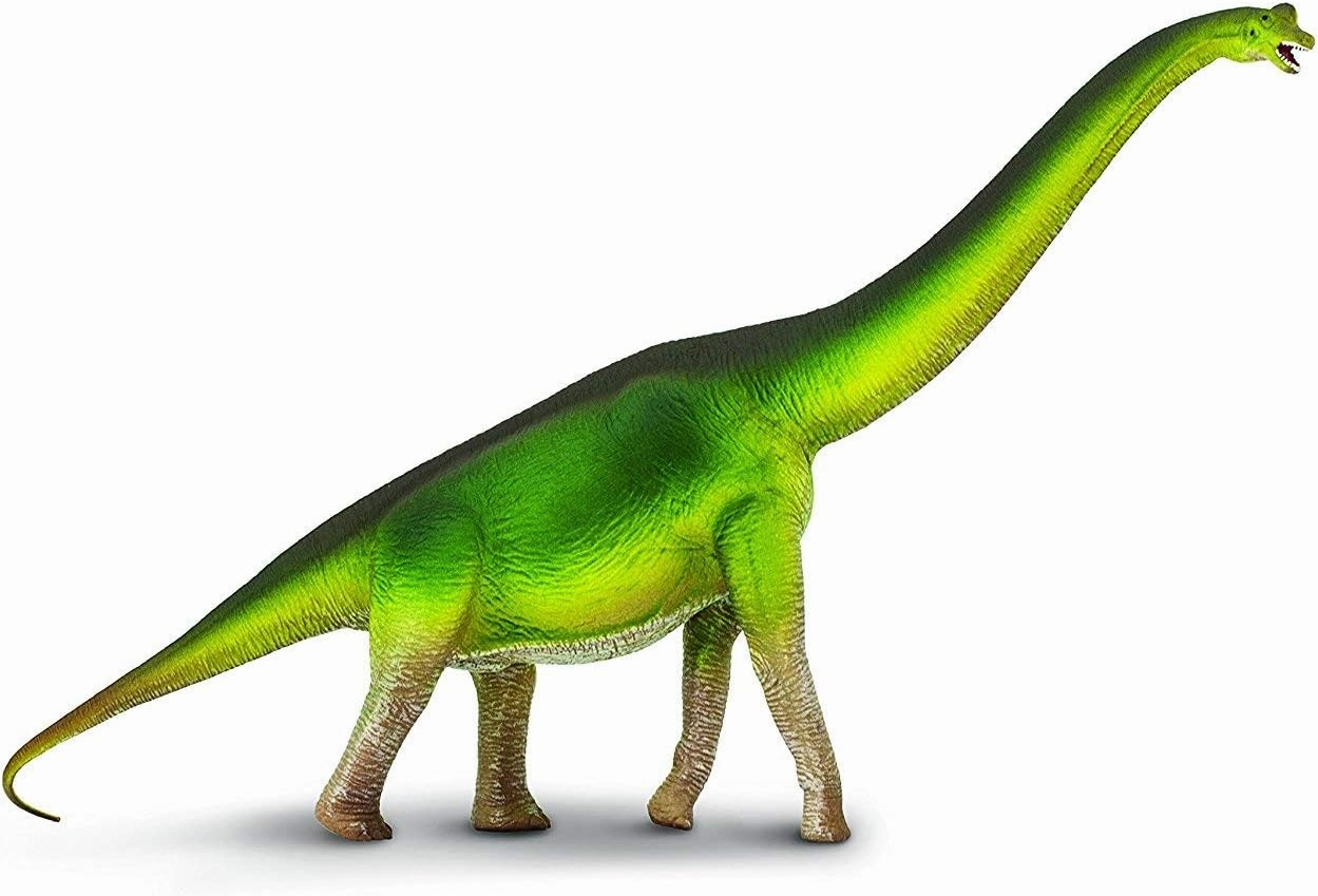 Safari Ltd. Brachiosaurus Figurine - Detailed 13" Long-Necked Dinosaur Figure - Educational Toy for Boys, Girls, and Kids Ages 3 