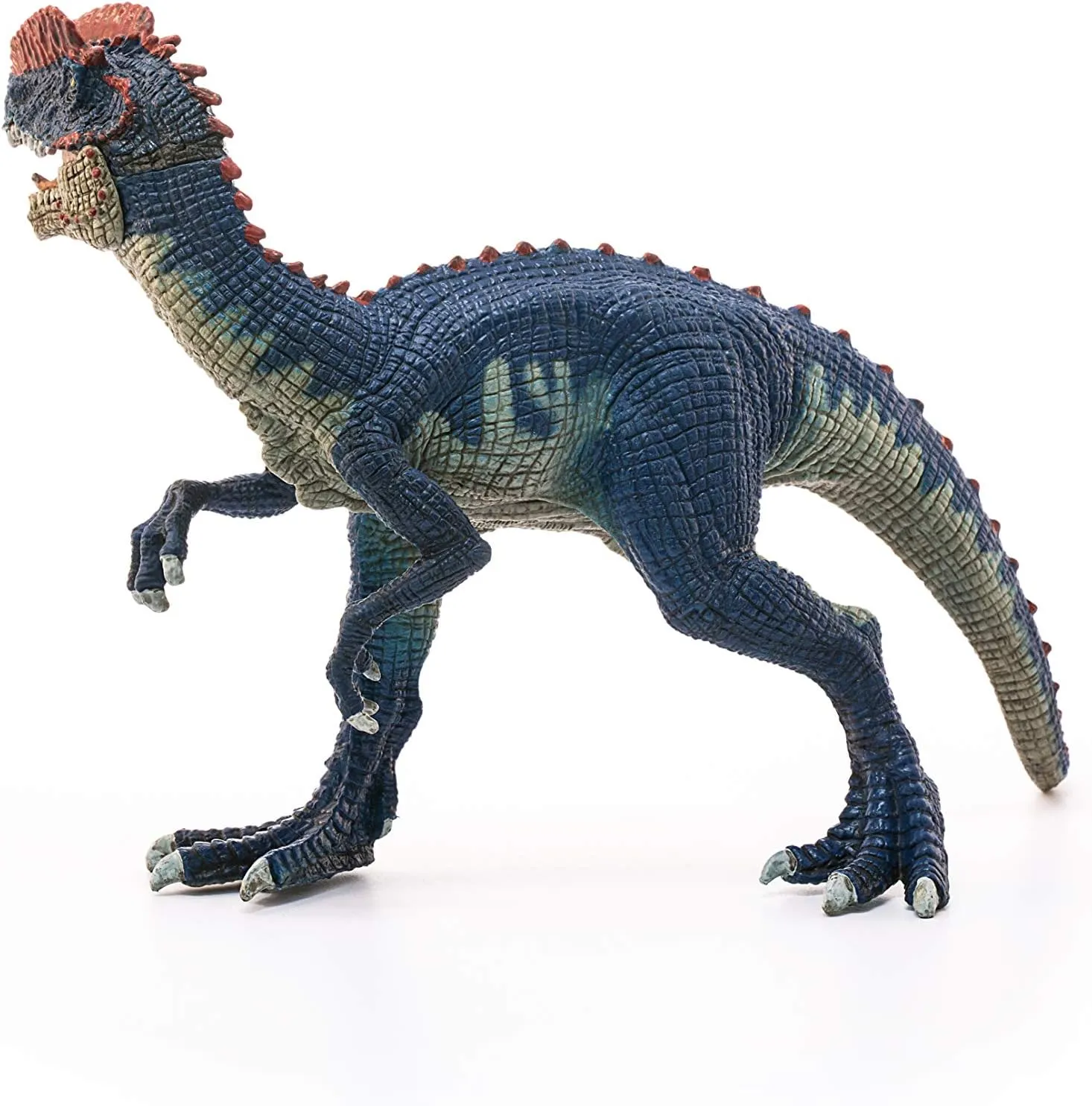 Schleich Dinosaurs, Jurassic Era velociraptor Dinosaur Toys for Boys and Girls, Dilophosaurus Toy Figure, Ages 4 