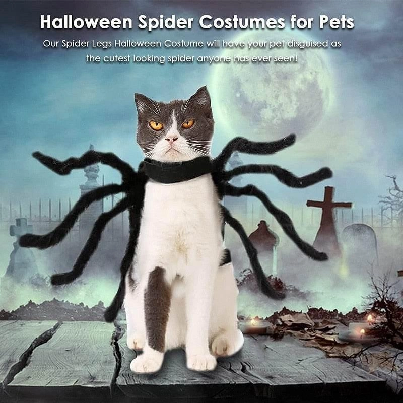 Spider Pet Costume - Halloween Outfit for Dogs  Cats
