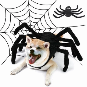 Spider Pet Costume - Halloween Outfit for Dogs  Cats
