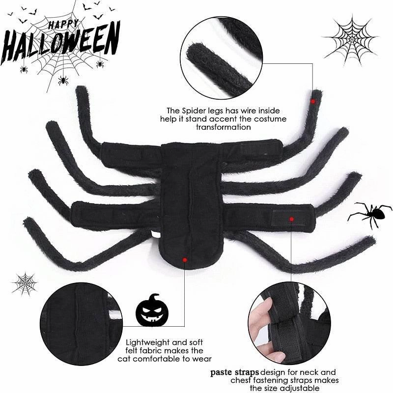 Spider Pet Costume - Halloween Outfit for Dogs  Cats