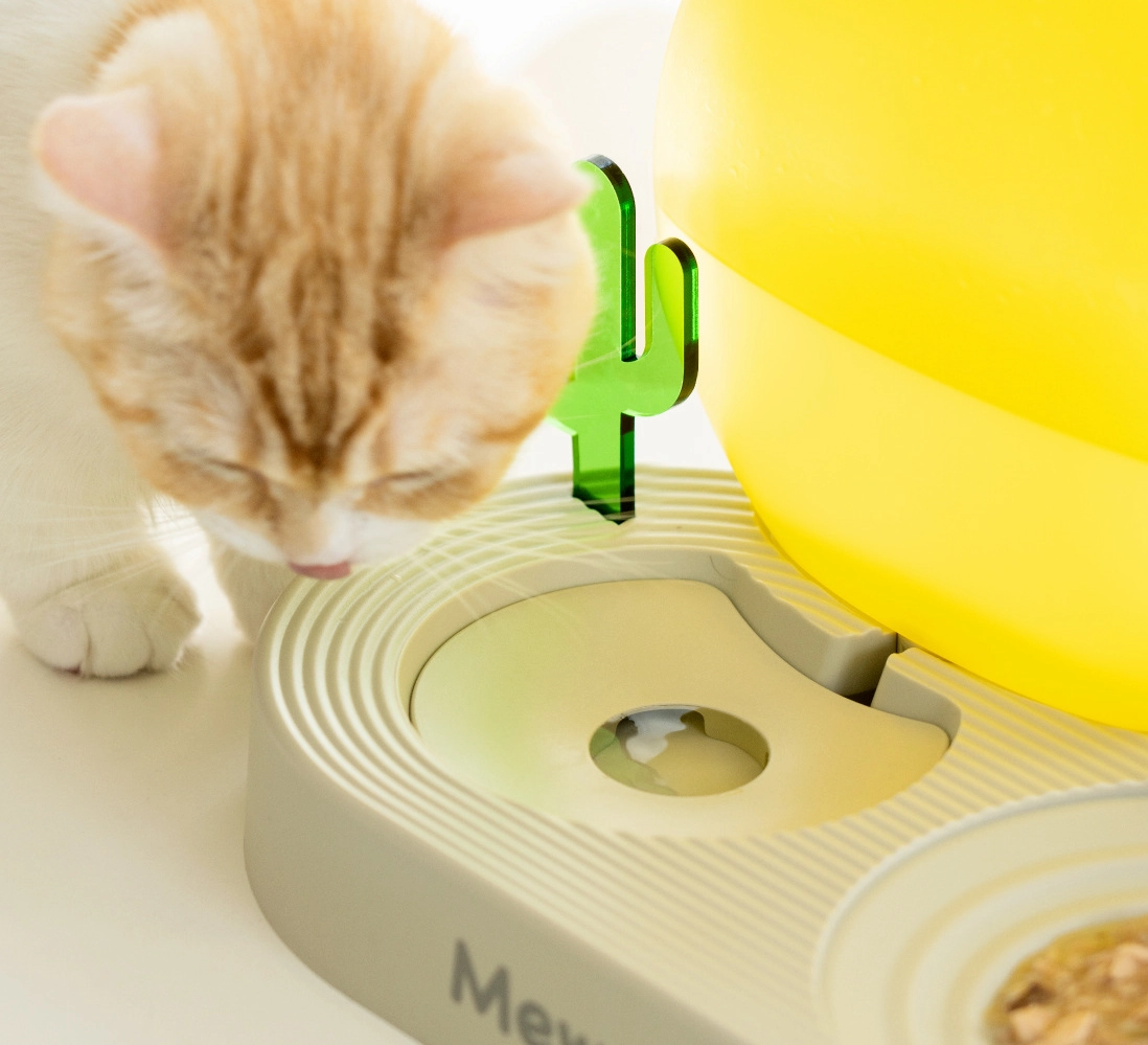Sunset Cactus Creative Pet Food Bowl
