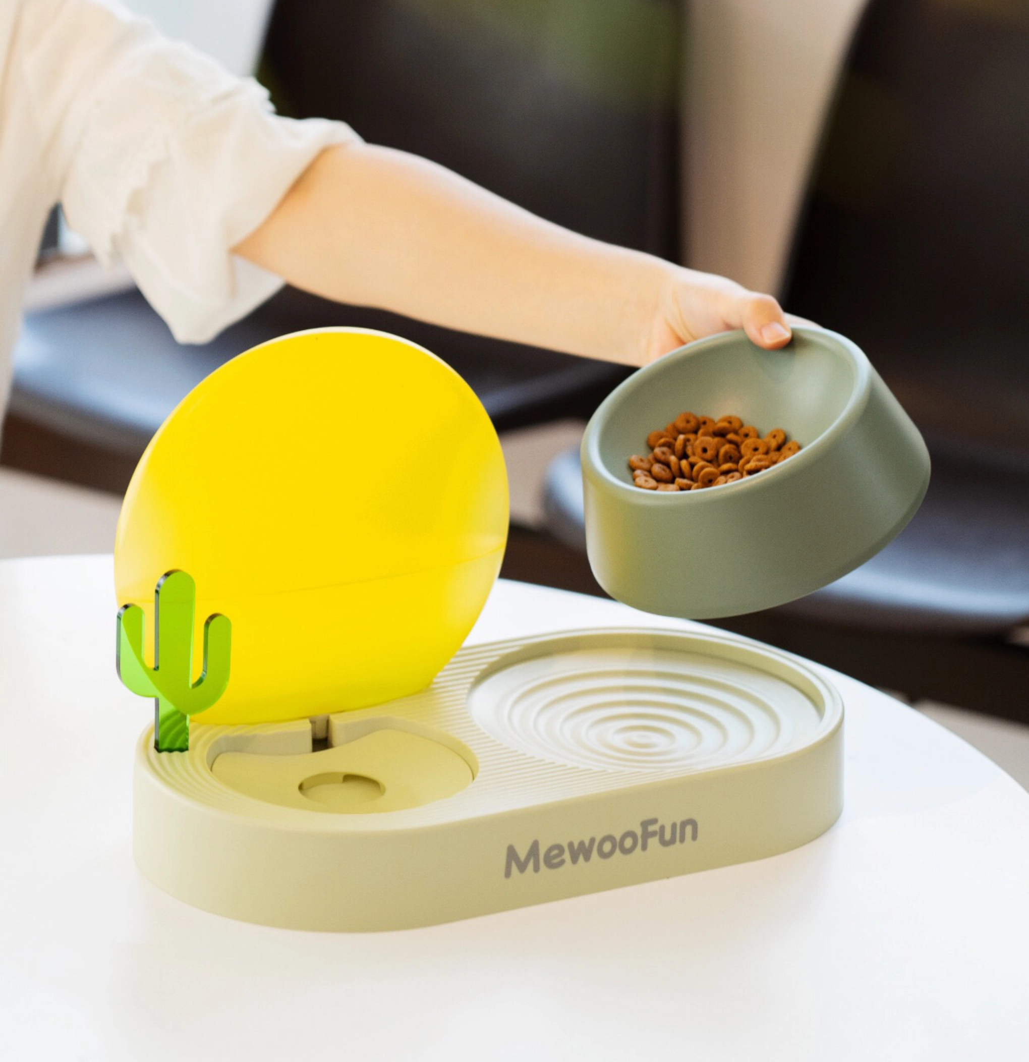 Sunset Cactus Creative Pet Food Bowl