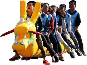 Team Building Games Field Day Outdoor Teamwork Games, Group Cooperation Competition Game, Fun Games Dry Land Dragon Boat Inflatable Toys(14 seats/L-8M)