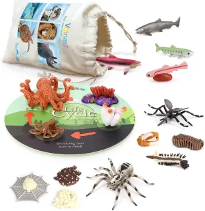 Volnau Animal Figurines Toys 17PCS Life Cycle Figure Set for Toddlers Kids Salmon Octopus Wolf Spider Mosquito Christmas Birthday Gift Preschool Educational Prop
