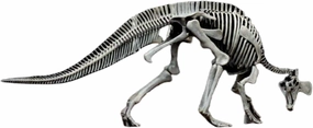 VWUVWU 1:20 Scale Tsintaosaurus Spinorhinus Model Dinosaur Decor Gk Collector Gift
